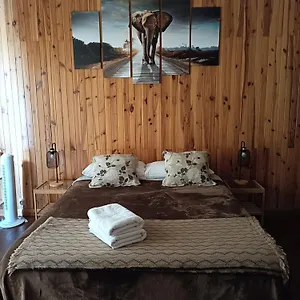  Auberge de jeunesse Tenerife Dreams Coffee&bed